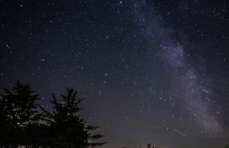 Mas des Cèdres - Photo 19