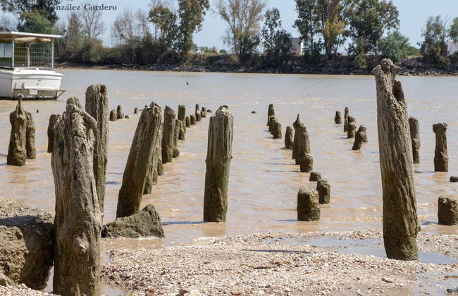 Vivienda Rural el Retorno - Foto 55