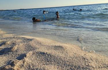 Appartamento il Maestrale Casa Vacanza - Photo 6