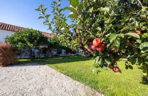 Casa Da Lagoa e Forja - Turismo Rural - Foto 23