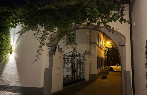 Karlbacher Domizil Ferienwohnungen - Foto 25