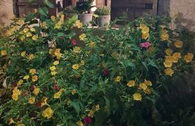 Casa del mare - Foto 13