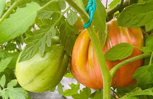 Incanto del Garda - Foto 60