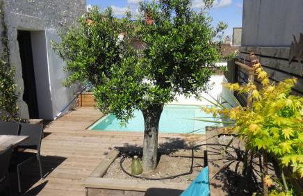 La Terrasse La Tremblade - Foto 25