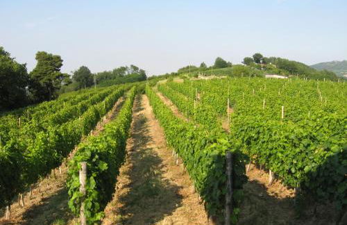 Agriturismo Cascina Serra - Foto 41