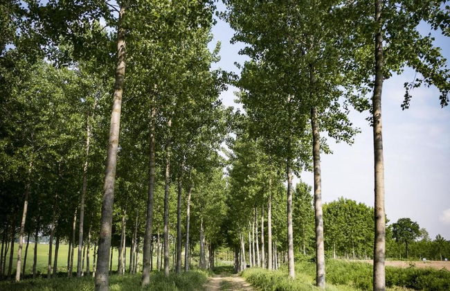 Agriturismo Relais Tenuta Il Cigno - Photo 15