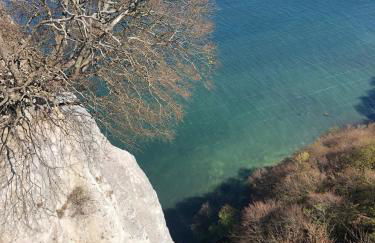 Fewo Storchennest - Foto 19