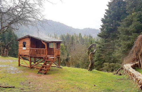 Elati Hills - Photo 51