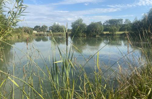 Beech Pod Cabin in beautiful surroundings Wrexham - Foto 37