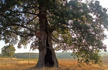 BR-Ferienwohnung Brombachtal - Foto 23