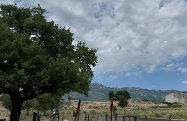 Villa Luka - Foto 45