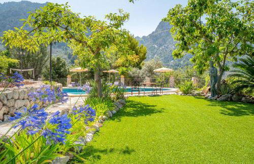 S Olivar Major - Foto 3