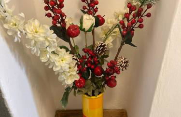 Michelangiolo Appartment - Foto 24