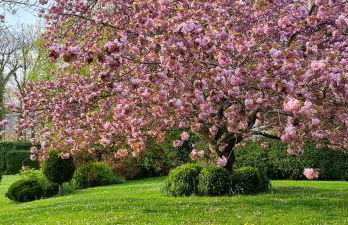 Domaine des Chanoines blancs - Foto 56