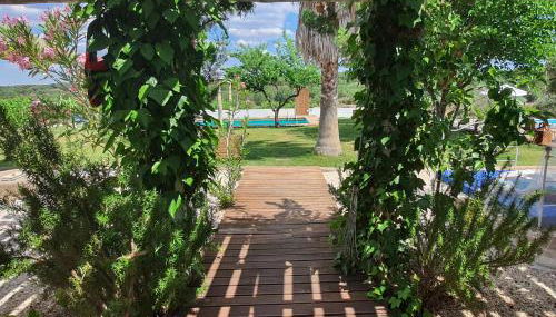 Monte das Aranhas - Foto 5