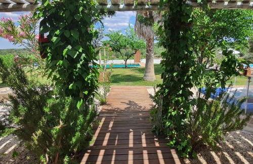 Monte das Aranhas - Foto 5