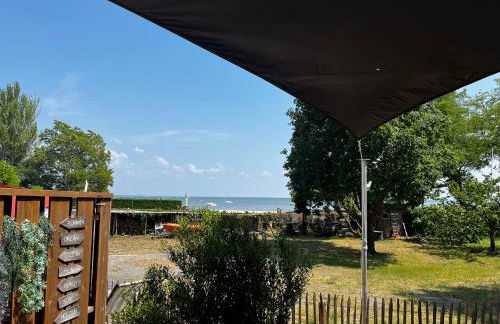 Flou de Pin - Foto 51