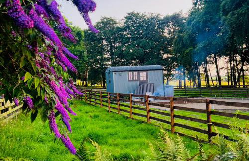 Herdie Hideaway - Shepherds Hut - Foto 28