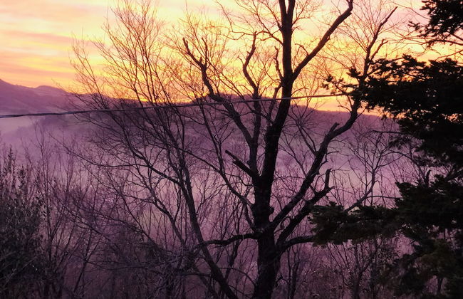 Villa Bella Rosa - Foto 45