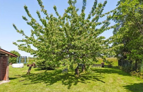 Cozy Home In Warnoleka With Wifi - Foto 10