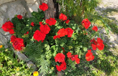 Villa Erica - Foto 6