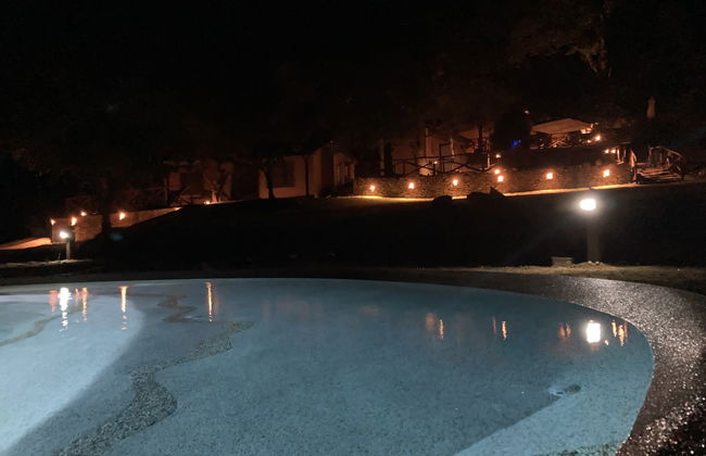 Fiordaliso - Foto 63