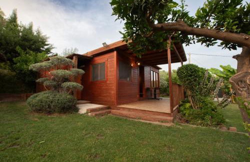 El jardín del Edén - Foto 42