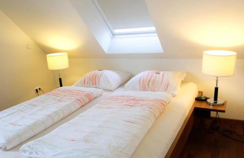 Jungingers Aparthotel - Foto 32