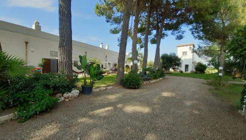 Agriturismo La Stornara - Foto 5, Garden