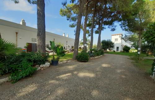 Agriturismo La Stornara - Foto 5