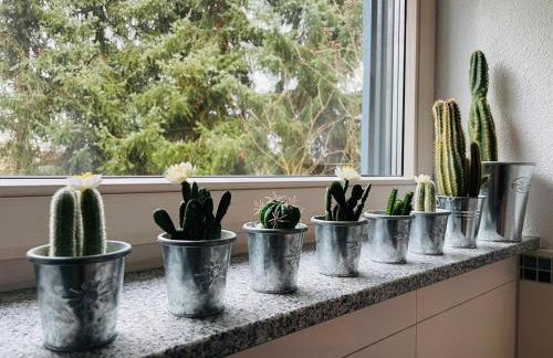 Limes Apartment -übernachten am Limes- - Photo 35