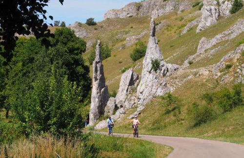 Ferienwohnung Pension Waldblick - Foto 48