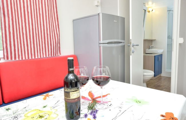 Iva - Great Garden - H - Photo 8