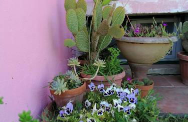 Agriturismo Campolungo - Foto 39