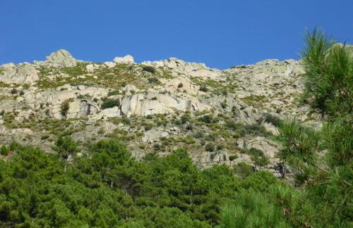 Los Prejones - Photo 29