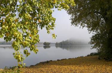 ChristRose - Foto 18