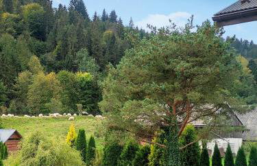 Pokoje i apartamenty u Sabiny - DOSTĘP DO JACUZZI TYLKO W WYBRANYCH OPCJACH sprawdź poniżej szczegóły rezerwacji - Photo 27