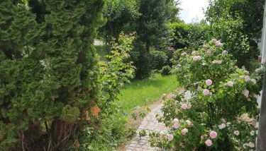 Home&Castle - Photo 5, Garden