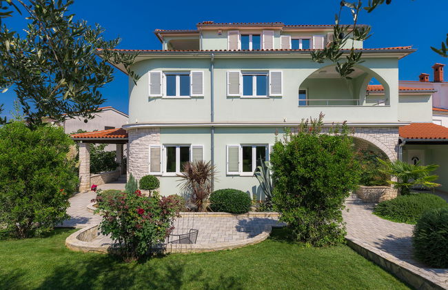 Salamander - Foto 53