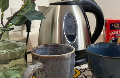 Blue Roof - Photo 10