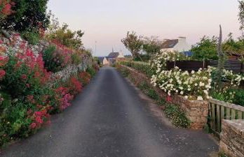 Maison Avel Dro Plogoff - Foto 37