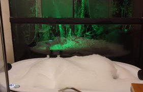 Chalé Vale dos Vagalumes, Gonçalves, Minas Gerais - Foto 7