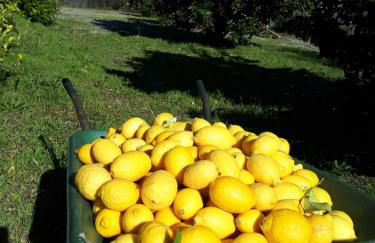 Quinta do Mirante - Foto 76