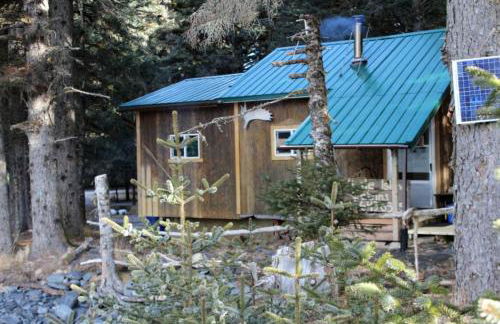 Coastal Camping Cabin with Wood-Burning Stove on Whale Island, Alaska - Foto 1
