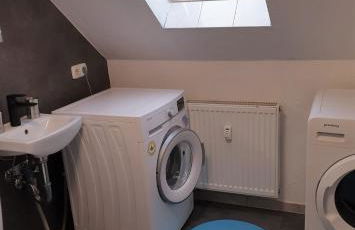 Vogelnest Riesa - Foto 14