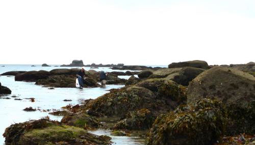 Ty An Traon gite 10 p 4km Benodet - Foto 5