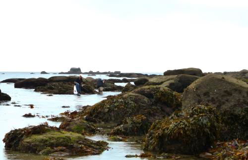 Ty An Traon gite 10 p 4km Benodet - Foto 5