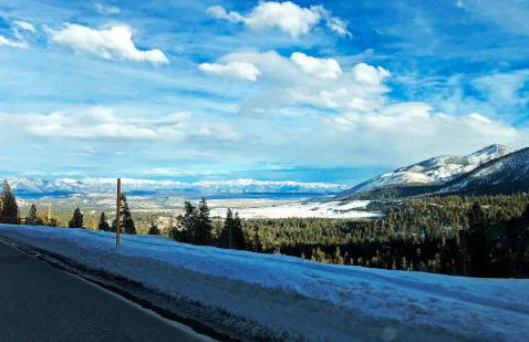 The Mammoth House - Photo 15