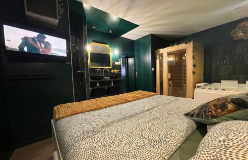 Le SPEAK EASY / JACUZZI ET SAUNA - Foto 9