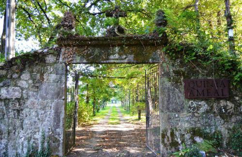 Wine Tourism - Quinta do Ameal - Foto 11